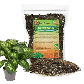 Expert Dumb Cane Plant Potting Soil Mix by Gardenera - Enhance Growth with Our Nutrient-Rich Blend (1 Quart)