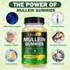 Mullein Gummies for Lungs, 2000 MG(50:1 Extract) Mullein Leaf Extract