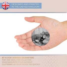 Destination Vinyl ltd Magnet for Refrigerator, Fridge BW - Cute Dachshund Puppy Dog for Office, Cabinet and Whiteboard, Magnetic Stickers, 38678