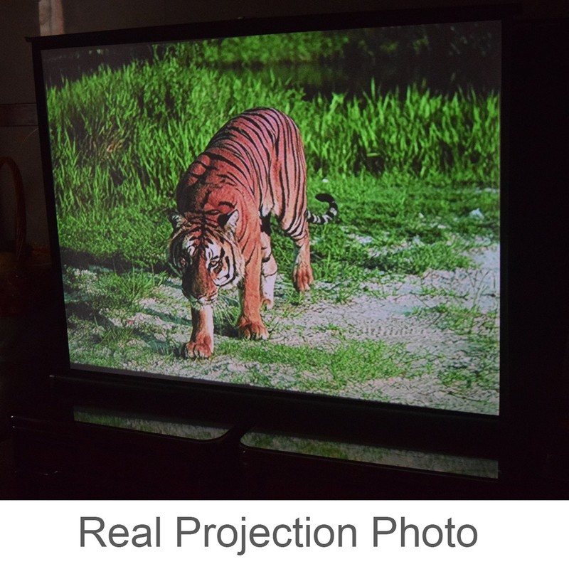 Cocar P1-SN40 40 inch Portable Projection Screen for Mini/Professional LED/LCD/DLP