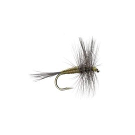 The Fly Fishing Place Blue Winged Olive BWO Classic Trout Dry Fly Fishing Flies - Set of 12 Flies Size 14 - One Dozen