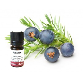 Cranberry Lane Juniper 100% Pure Essential Oil 20ml