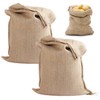 2-Pack Potato Storage Bag, Vegetable Storage Sack, Woven Sand Sack,