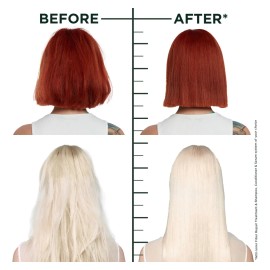 Tratamiento Previo Al Champú Garnier Fructis Hair Filler 300