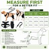 RDOPODNJ (M Dog Rear Leg Brace with Safety Harness and
