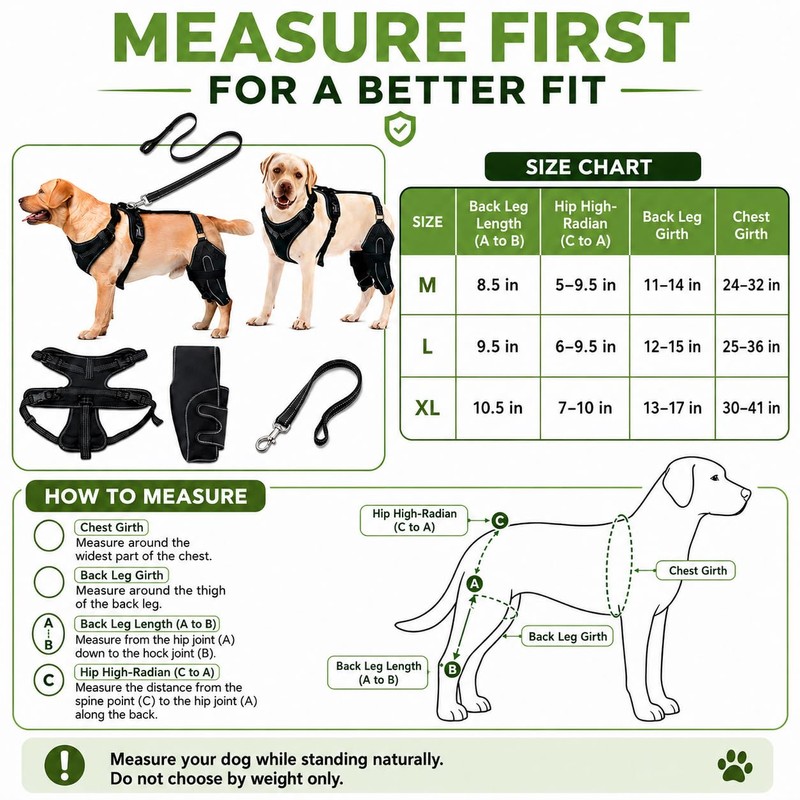 RDOPODNJ (M Dog Rear Leg Brace with Safety Harness and