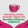 PG Tips | Raspberry Leaf Tea Bags Bulk | Individually