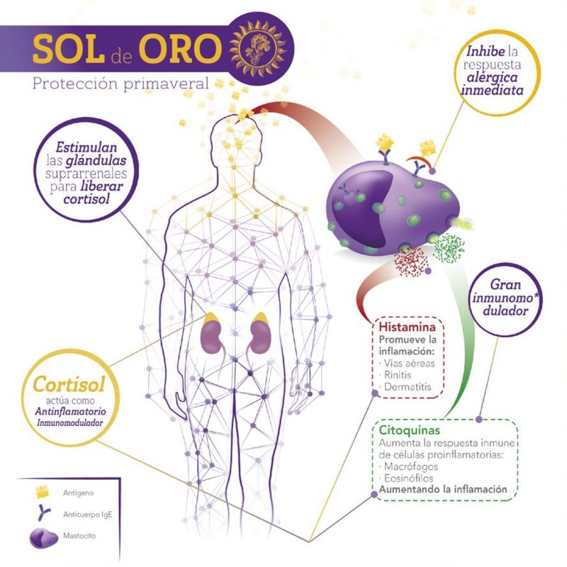 Eladiet Sol De Oro Plus Syrup 250 ml