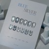 From the Nail Blue Silver 6 types of individual magnetic