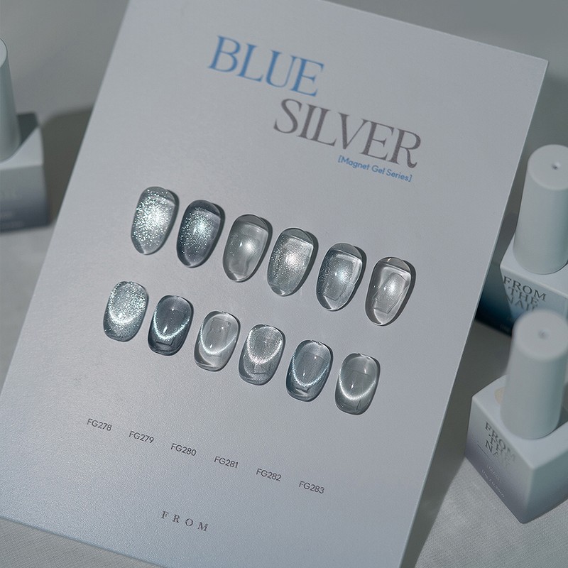 From the Nail Blue Silver 6 types of individual magnetic