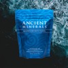 Ancient Minerals Ancient Minerals 750g magnesium bath flakes, 1.65 Pound