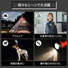 Kaito Denshi LED Light Keychain Light, Flashlight, Solar, Handy, Disaster