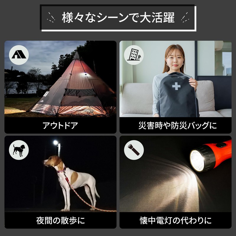 Kaito Denshi LED Light Keychain Light, Flashlight, Solar, Handy, Disaster