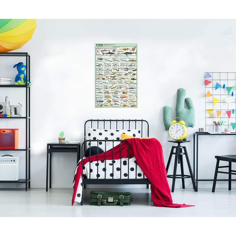 Feenixx Publishing Laminated Fish Educational Chart Print Poster 24x36