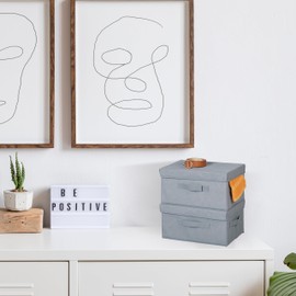 Relaxdays Storage Box Set of 2, Foldable Shelving Boxes, 17 x 23 x 33 cm, with Lid, Folding Boxes Made of Fleece, Grey