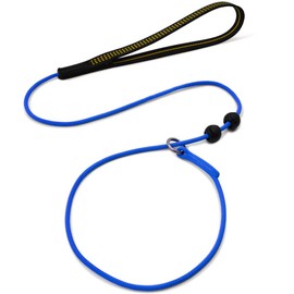 BeauGo Dog Ultra-fine Leash,Slip Leads for Dogs,Pet Training Leash,Training 、Leading and Holding Suitable for Small,Medium or Large Dogs (Blue, 1.1M Long)