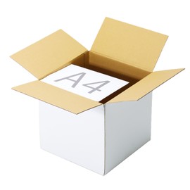 Earth Cardboard ID1666 Cardboard, 100 Sizes, Cubes, Set of 10, White, Cardboard, 100 Square