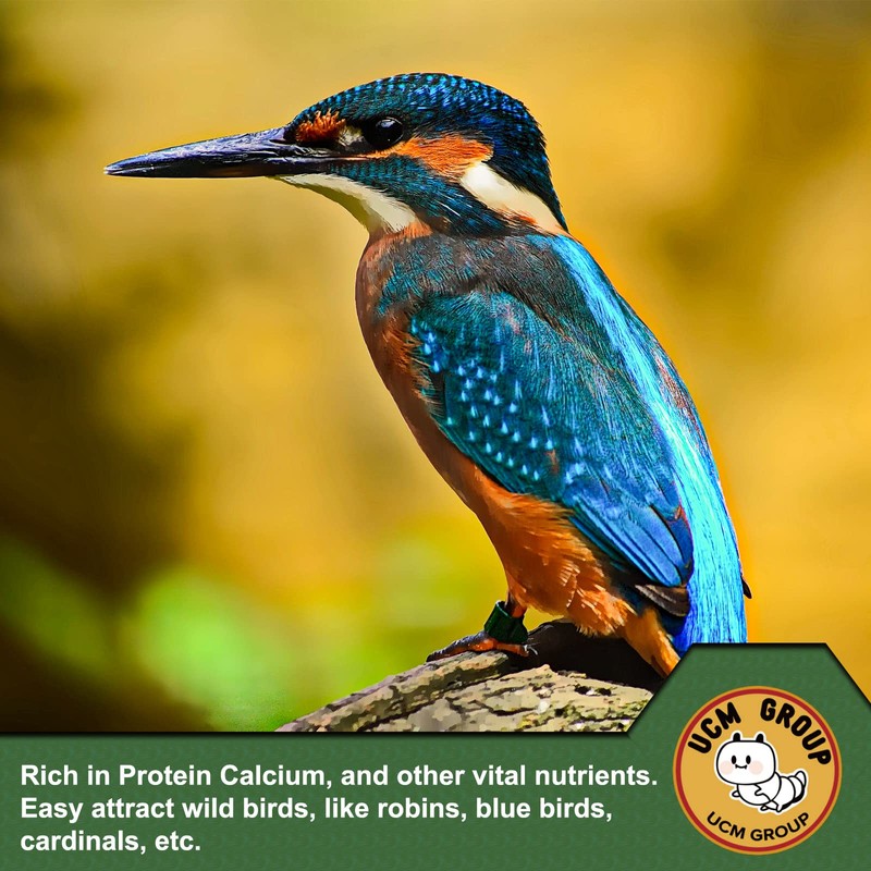 UCM Group 20LB Dried Mealworms for Wild Birds, Chickens, 100%