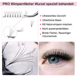 Ready-made Fan 7D-D-0.07-15 Short Handle Eyelash Extension Ready-made Eyelash Fan Volume Eyelashes 0.07 C Curl (7D-D-0.07, 15 mm)