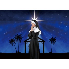 INRUI Christmas Nativity Scene Star of Bethlehem Jesus Birth Photography Background Blue Starry Sky Star of Bethlehem Religious Church Christmas Party Decorations Backdrop (2.4x1.8m)