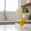 Sabila Y Nopal Prosa Vit C 2l Suplemento Liquido