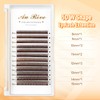 W Eyelash Extensions C Curl 0.07mm 8-15mm Mix Tray Brown