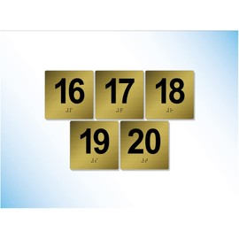 The Sign Studio – 4” x 4” – Exam Room Numbers 16-20 - Braille/Tactile Identification Signs Used for Exam Rooms and Offices – (Brushed Gold/Black)