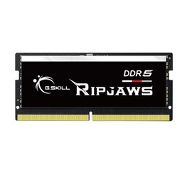 G.Skill Ripjaws (Intel XMP) 16GB (1 x 16GB) DDR5 4800 CL40-39-39 1.10V Single Channel Laptop Memory/RAM - F5-4800S4039A16GX1-RS (Black)