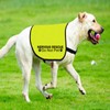 Nervous Ask To Pet/Do Not Approach Jacket - Rescue Dog
