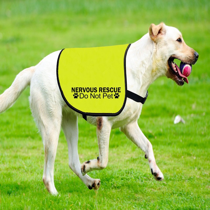 Nervous Ask To Pet/Do Not Approach Jacket - Rescue Dog