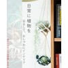 Crazy Bloom Air Plant Holder, Hanging Chain, Air Plants, Hanging