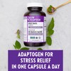 New Chapter Holy Basil Force with Supercritical Holy Basil for