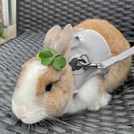 Rabbit Lead, Adjustable Rabbit Lead, Rabbit Accessories, 120 cm Rabbit Harness Set with Lead, for Rabbits, Small Cats and Other Small Pets