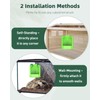 Pawfly Bearded Dragon Feeder - Escape-Proof Corner Reptile Food Box,
