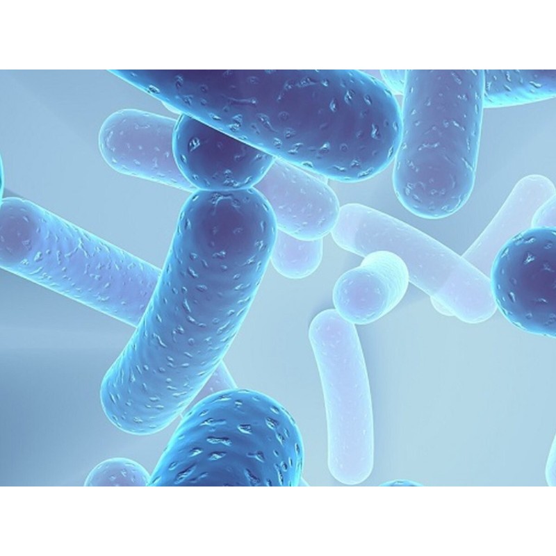 Sport Nutrition & Vitamins CANDIDA AWAY COMPLEX - 1B 60