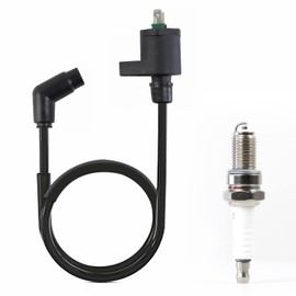 Ignition Coil CDI Box Spark Plug for Honda Sportrax 250 TRX250 TRX250EX 2001-2008 TRX250X 2009-2020 Recon 250 TRX250 TRX250TE TRX250TM 2002-2020 30410-HN6-000