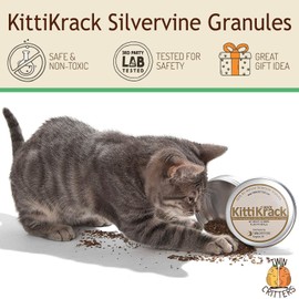 TWINCRITTERS KittiKrack Rock Organic Silvervine Catnip Substitute for Cats & Kittens | All-Natural Wild Harvested Silvervine Granules | 4 Refills for TWINCRITTERS Refillable Plush Cat Toys | 10g
