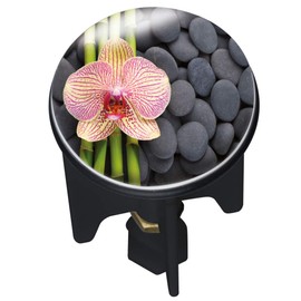 WENKO 20865100 Drain plug Pluggy Spa fits all conventional drains, Plastic, 3.9 x 6.5 x 3.9 cm, Multicoloured