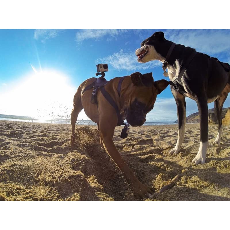 Weiara Dog Harness for Gopro, Soft and Adjustable Dog Harness