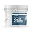 Earthborn Elements Calcium Carbonate Powder (1 Gallon), Natural Antacid, Limestone