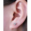 Limerencia G23 Hypoallergenic 18g Flat Back Stud Earrings | F136