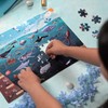 LUMA WORLD ADD LIFE TO LEARNING Our Amazing Oceans Educational