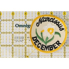 Vintage December Narcissus Patch Embroidered Flower Of The Month Sew On