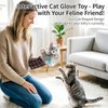 Cat Wrestling Glove, Interactive Hand Mitt Toy with Interchangeable Feather