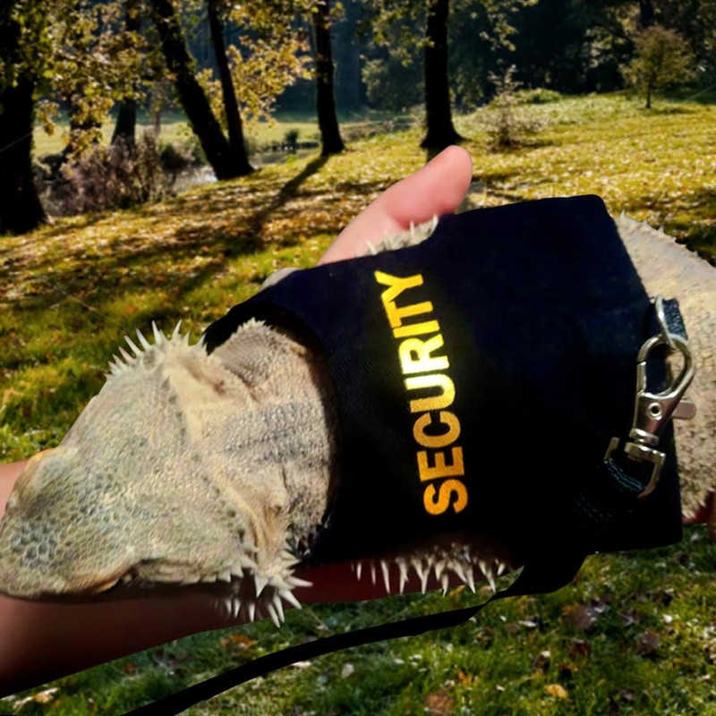 Bartagamen-Leinen, verstellbarer Eidechsen-Brustgurt mit abnehmbarer Nylon-Leine, ausbruchsicher, für Bartagamen, Eidechsen,