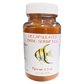 Decapsulated Brine Shrimp Eggs (Non-Hatching), 2.5 oz Jar