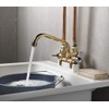 Homewerks Worldwide 3310-250-RB-B Rough Brass Laundry Faucet, No Size