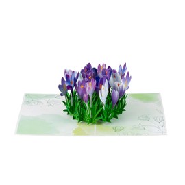 TRUANCE Pop Up Card, Crocus Flower, Mother Day, Father Day, Valentines Day Card, Love Card, Anniversary Card, Thank You Card, All Occasions
