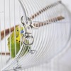 balacoo 10 Pcs Bird Cage Door Lock Buckles Pet Cage