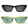 VANLINKER Polarized Small Trendy Skinny Cat Eye Sunglasses Women Vintage